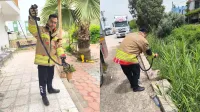 Haber Resmi