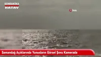 Amik Ovası’nda Soğan Hasadı Bereketli Geçiyor